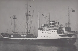 Delcampe - EOS Cargo Ship 1958 Postcard Size Real Photo #SDM489 - Comercio