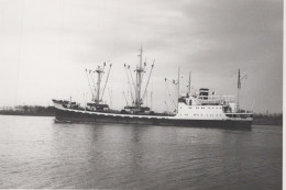 Delcampe - Eos Cargo Ship 1952-1969 Postcard Size Real Photo #SDM490 - Comercio