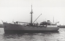 Delcampe - M V STRAAD Cargo Ship Postcard Size Real Photo #SDM479 - Comercio