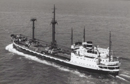 Delcampe - KOS Amsterdam Cargo Ship Postcard Size Real Photo #SDM487 - Comercio