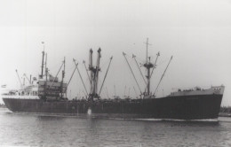 Delcampe - HYDRA Cargo Ship Postcard Size Real Photo #SDM475 - Comercio