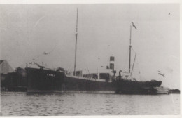 Delcampe - DANAE Cargo Ship Postcard Size Real Photo #SDM473 - Comercio