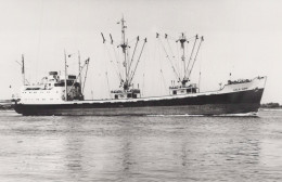 Delcampe - GOLD CON Cargo Ship 1992 Postcard Size Real Photo #SDM488 - Comercio