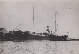 Delcampe - DANAE Cargo Ship 1894 Postcard Size Real Photo #SDM472 - Comercio