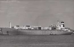 Delcampe - Hollandia Container Ship Postcard Size Real Photo #SDM469 - Comercio