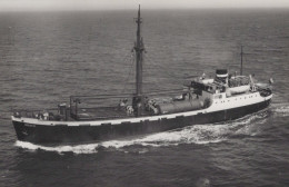 Delcampe - DRACO 1947 Cargo Ship Postcard Size Real Photo #SDM481 - Comercio