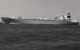 Delcampe - BELLUGA Cargo Ship Postcard Size Real Photo #SDM466 - Comercio