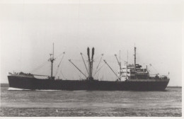 Delcampe - HERISILIA Cargo Ship 1948 Postcard Size Real Photo #SDM457 - Comercio