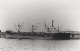 Delcampe - Zeehond 1945 Cargo Ship Postcard Size Real Photo #SDM461 - Comercio