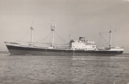 Delcampe - HERMES Cargo Ship Postcard Size Real Photo #SDM453 - Comercio