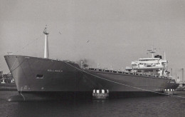 Delcampe - HOLLANDIA Tanker Ship Postcard Size Real Photo #SDM465 - Tanker