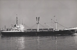 Delcampe - Hersilia Cargo Ship 1944 Postcard Size Real Photo #SDM460 - Comercio