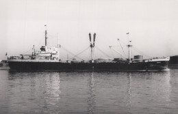 Delcampe - HERSILIA Cargo Ship Postcard Size Real Photo #SDM458 - Comercio
