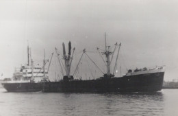 Delcampe - HESTIA Cargo Ship Postcard Size Real Photo #SDM464 - Comercio