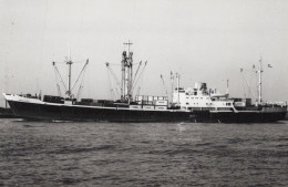 Delcampe - HERCULES Cargo Ship Postcard Size Real Photo #SDM447 - Comercio