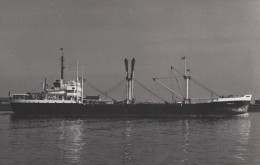 Delcampe - HERCILIA Cargo Ship 1944 Postcard Size Real Photo #SDM459 - Comercio