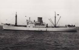 Delcampe - AANV HERMES Cargo Ship Postcard Size Real Photo #SDM451 - Comercio