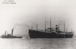 Delcampe - HERMES AMSTERDAM Cargo Ship 1920 Postcard Size Real Photo #SDM450 - Comercio