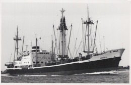 Delcampe - HERMES Cargo Ship Postcard Size Real Photo #SDM456 - Comercio