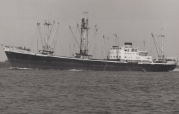Delcampe - HERCULES Cargo Ship Postcard Size Real Photo #SDM446 - Comercio