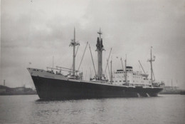 Delcampe - HERCULES Cargo Ship Postcard Size Real Photo #SDM445 - Comercio