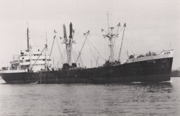 Delcampe - HESTIA Cargo Ship Postcard Size Real Photo #SDM462 - Comercio
