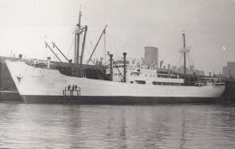 Delcampe - Empire Dove Cargo Ship Postcard Size Real Photo #SDM452 - Comercio