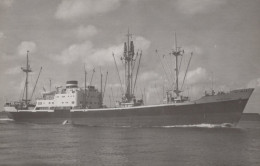 Delcampe - HERCULES Cargo Ship Postcard Size Real Photo #SDM444 - Comercio