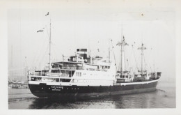 Delcampe - PARTHENON Cargo Ship Amsterdam Postcard Size Real Photo #SDM430 - Comercio