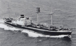 Delcampe - HERCULES Cargo Ship Postcard Size Real Photo #SDM443 - Comercio