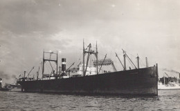 Delcampe - Hercules Cargo Ship 1914 Postcard Size Real Photo #SDM438 - Comercio