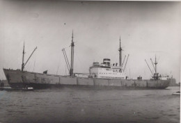 Delcampe - PENDJLEY Cargo Ship 1930 Postcard Size Real Photo #SDM426 - Comercio
