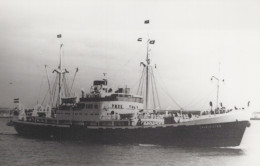 Delcampe - GRAND JESTAD Cargo Ship Postcard Size Real Photo #SDM424 - Comercio