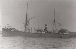 Delcampe - PENELOPE Cargo Ship Postcard Size Real Photo #SDM428 - Comercio