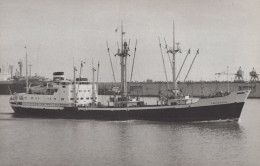Delcampe - Parthenon Cargo Ship Postcard Size Real Photo #SDM432 - Comercio