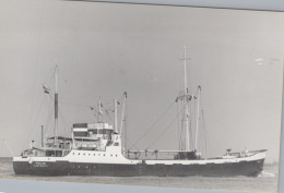 Delcampe - PALLAS Cargo Ship 1974 Postcard Size Real Photo #SDM436 - Comercio
