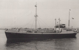 Delcampe - LEONIDAS Cargo Ship Postcard Size Real Photo #SDM419 - Comercio