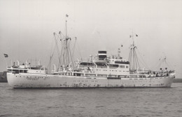 Delcampe - ORANJESTAD Cargo Ship Amsterdam Postcard Size Real Photo #SDM423 - Comercio