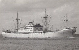 Delcampe - GRANJASTAT Cargo Ship Postcard Size Real Photo #SDM420 - Comercio