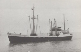 Delcampe - PALLAS Cargo Ship Postcard Size Real Photo #SDM435 - Comercio