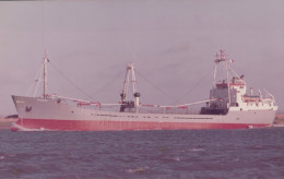 Delcampe - CEDERBORG Cargo Ship Postcard Size Real Photo #SDM411 - Comercio