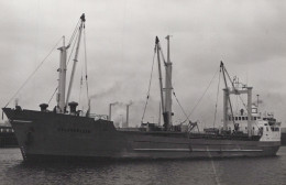 Delcampe - CALLAND PLEIN Cargo Ship Postcard Size Real Photo #SDM409 - Comercio