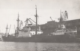 Delcampe - Ricles Amsterdam Cargo Ship Postcard Size Real Photo #SDM427 - Comercio