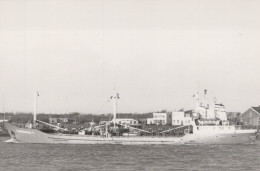 Delcampe - CAREBEKA I Cargo Ship 1966 Postcard Size Real Photo #SDM417 - Comercio