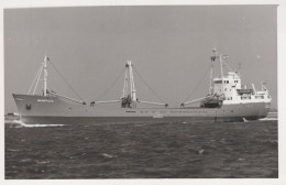 Delcampe - MAASPLEIN Cargo Ship Postcard Size Real Photo #SDM407 - Comercio