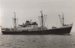 Delcampe - Oranjestad Cargo Ship Postcard Size Real Photo #SDM425 - Comercio