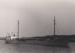 Delcampe - Cenmark Cargo Ship Postcard Size Real Photo #SDM401 - Comercio