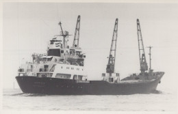 Delcampe - AURIGA Cargo Ship Rotterdam Postcard Size Real Photo #SDM399 - Comercio