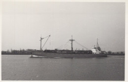 Delcampe - JAN TAVERNIER Cargo Ship Postcard Size Real Photo #SDM392 - Comercio