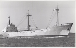 Delcampe - MARGA Cargo Ship 1966 Postcard Size Real Photo #SDM393 - Comercio